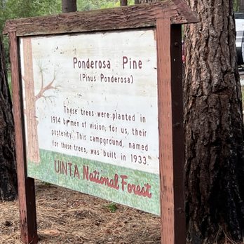 Ponderosa Uinta Campground - Welcome sign at the entrance of camp. Pretty cool how old it is - Campgrounds Near Me - Nephi, Utah Ponderosa Uinta Campground - Welcome sign at the entrance of camp. Pretty cool how old it is - Campgrounds Near Me - Nephi, Utah