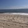 Photo of Town of Dewey Beach