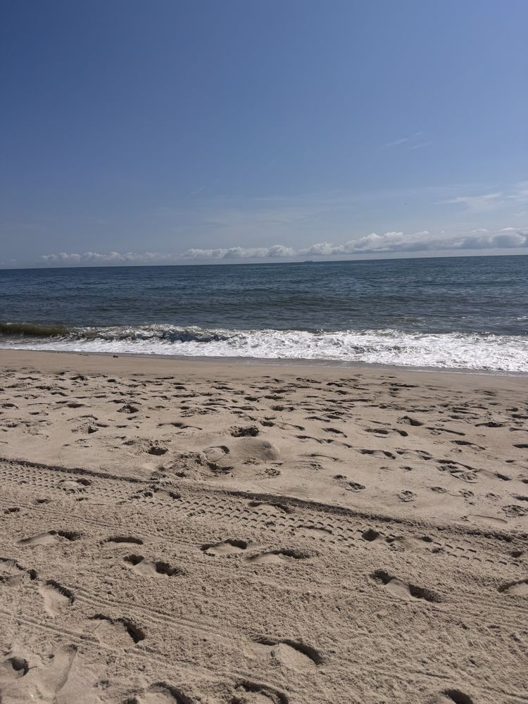 Town of Dewey Beach Logo