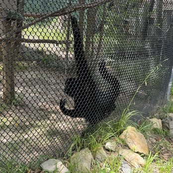 Jackson Zoological Park - Zoos Near Me - Jackson, Mississippi
