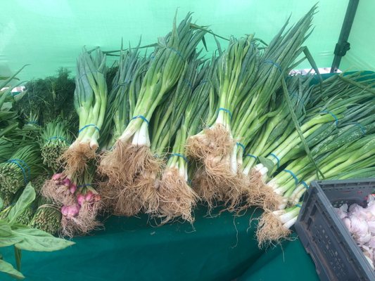 West Oakland Farmers Market by null