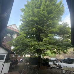 Gasthaus Zum Klotz - Biergarten mit Kastanie
