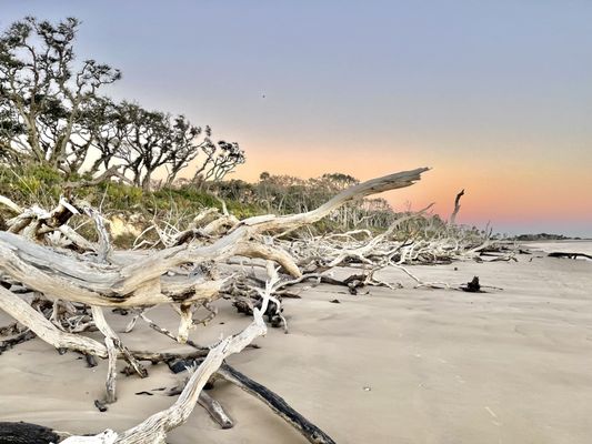 Big Talbot Island State Park by null