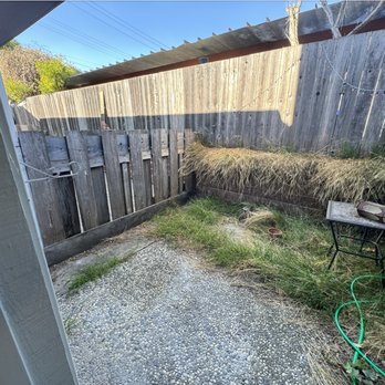 Trujillo’s Services - Before w/o tree - Fences & Gates Near Me Trujillo’s Services - Before w/o tree - Fences & Gates Near Me