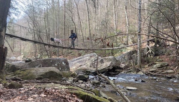 Signal Point Trail by null