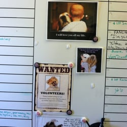 Here is a very sweet, touching bulletin board the volunteers post about who got walked last etc.