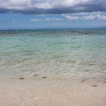 Palomino Island - Clear waters - Beaches Near Me Palomino Island - Clear waters - Beaches Near Me