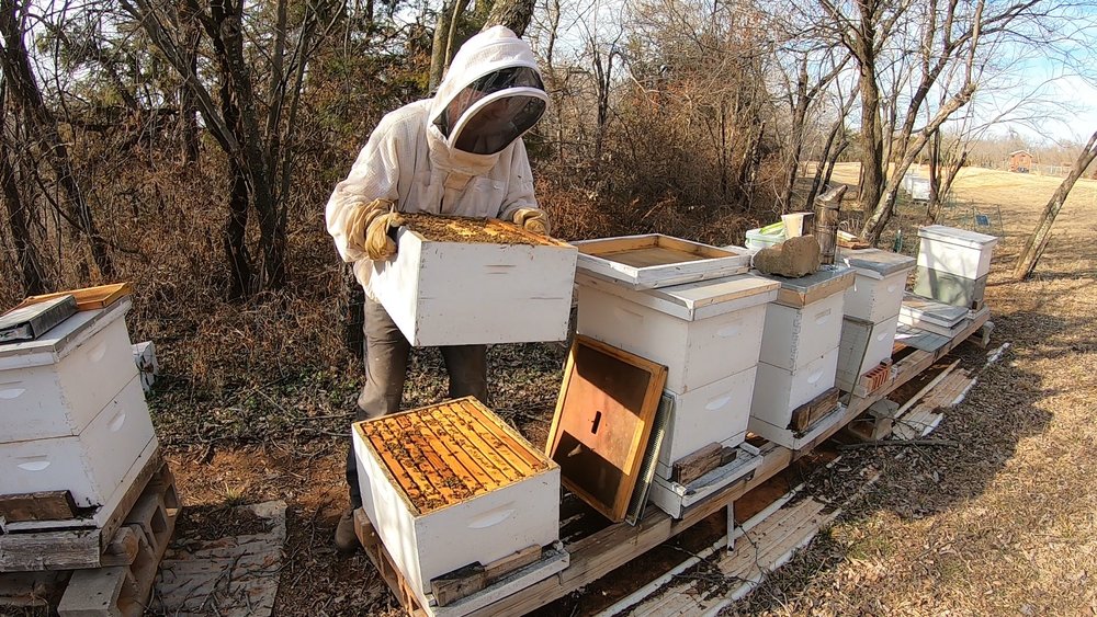 Jerome Bee Farm - beekeeping in Newcastle, OK