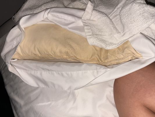 My Hawai‘i Hostel by null