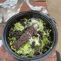 Photo of Jads Mediterranean Halal Grill