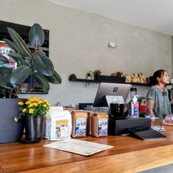 Dear Globe Coffee - Front Counter at Dear Globe Coffee