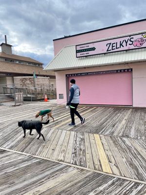 Rehoboth Beach by null