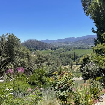 Rombauer Vineyards - A view from the tasting room at the Rombauer Vineyards in St. Helena, California. - Wineries Near Me - St. Helena, California Rombauer Vineyards - A view from the tasting room at the Rombauer Vineyards in St. Helena, California. - Wineries Near Me - St. Helena, California