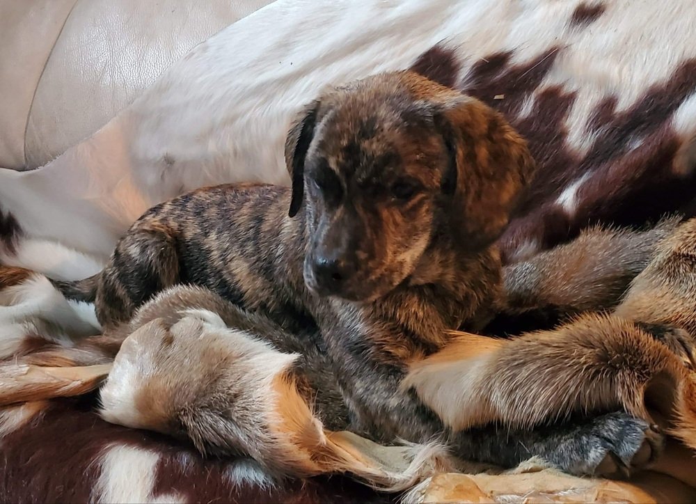 AT MY FATHER’S RESCUE Updated July 2024 10 Photos 240 Trinity Cir