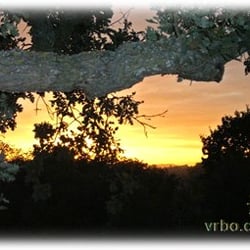 Shady Oak Vacation Rental - View from the front door of our vacation rental.