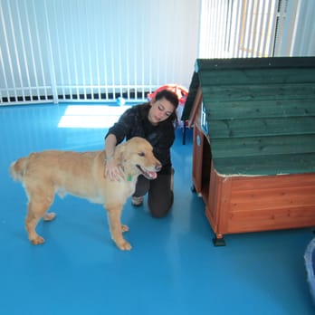 Black Birch Farm - Personalized attention for your pets - Pet Sitting Near Me - Milford, Connecticut Black Birch Farm - Personalized attention for your pets - Pet Sitting Near Me - Milford, Connecticut