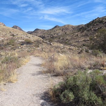 Mount Lemmon - Hiking Near Me - Tucson, Arizona Mount Lemmon - Hiking Near Me - Tucson, Arizona