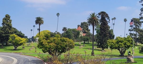 Inglewood Park Cemetery by null