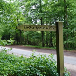 Bräutigamseiche