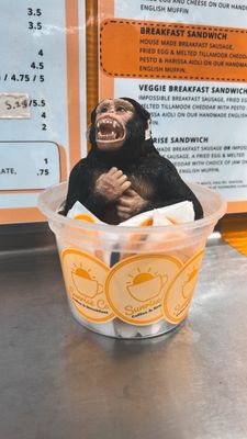 Farmhouse Carts by null