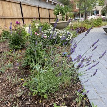 BRL Design - a flower bed with purple flowers - Landscaping Near Me BRL Design - a flower bed with purple flowers - Landscaping Near Me