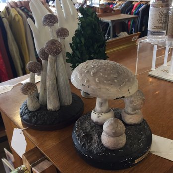 The Storm Cellar - Used, Vintage & Consignment Near Me - Moscow, Idaho