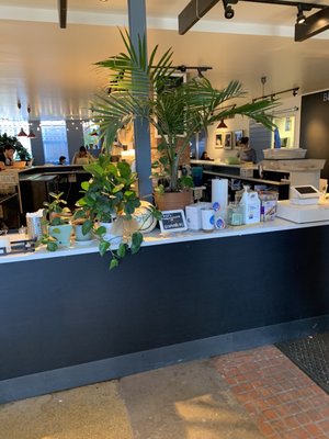 Blue Sky Brews by null