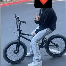 Bicycle Nerd Elite