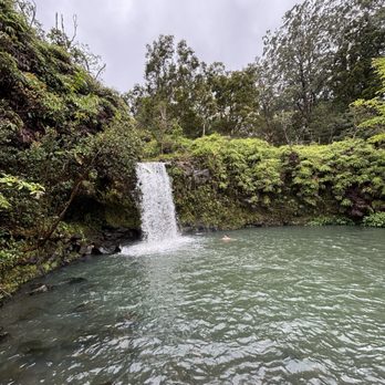 Oui Tour Maui - Bus Tours Near Me Oui Tour Maui - Bus Tours Near Me