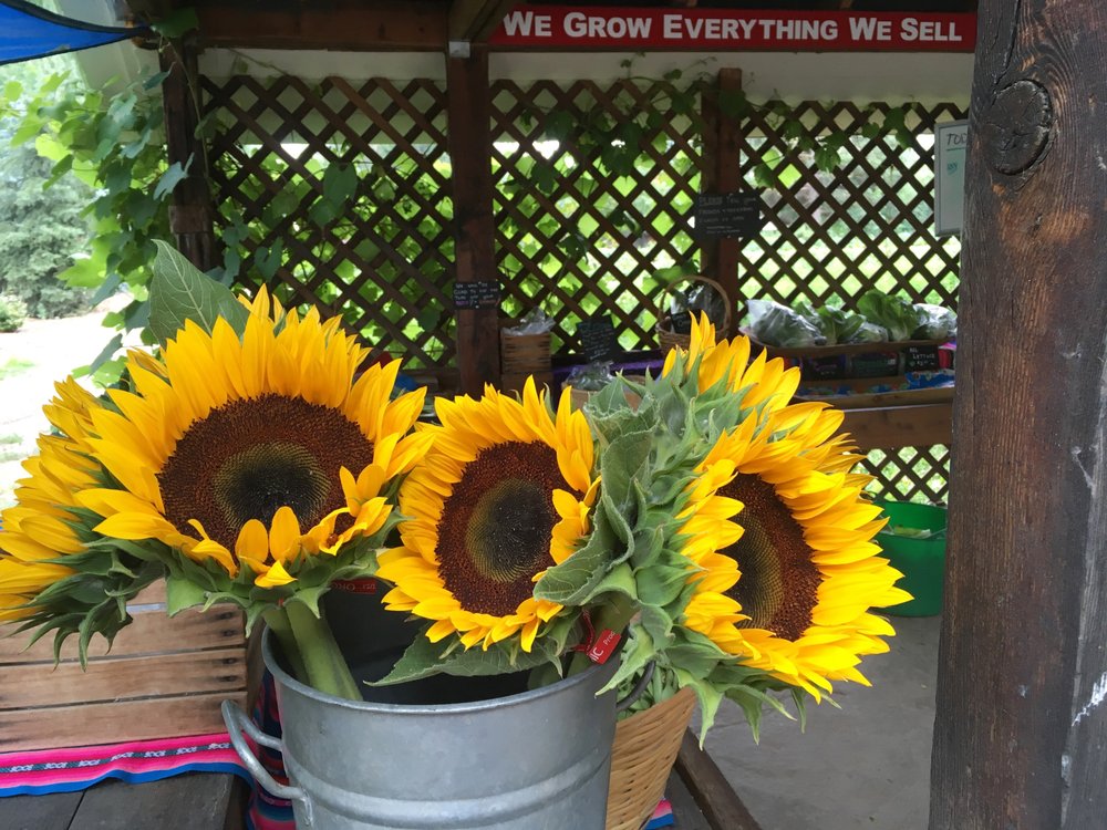 Zweck's Fresh Vegetables & Flowers Logo