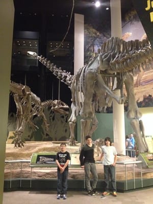 Sam Noble Oklahoma Museum of Natural History by null