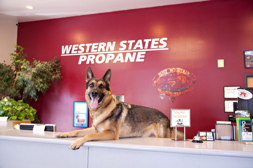 WESTERN STATES PROPANE Updated September 2024 1207 Water St, Elko