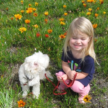 Rick Williams Personal Dog Training - Pet Training Near Me Rick Williams Personal Dog Training - Pet Training Near Me