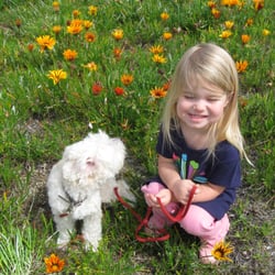 Rick Williams Personal Dog Training