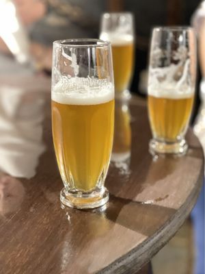 Pilsner Urquell Brewery by null