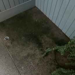 Floor under shower slippery with scum and moss. Floor under shower slippery with scum and moss.