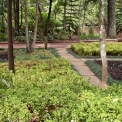 Museu de História Natural e Jardim Botânico da UFMG