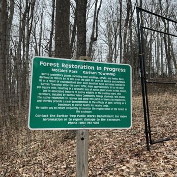 Bernadette Morales Nature Preserve - 12/26/2022 forest restoration - Parks Near Me - Flemington, New Jersey Bernadette Morales Nature Preserve - 12/26/2022 forest restoration - Parks Near Me - Flemington, New Jersey
