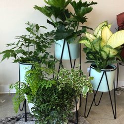 Maggie's Place - Bright planters in the house!