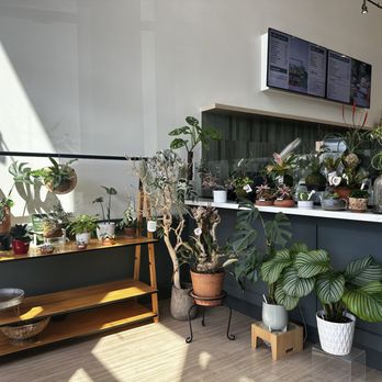 Moongoat Greenhouse - Coffee Roasteries Near Me - Costa Mesa, California Moongoat Greenhouse - Coffee Roasteries Near Me - Costa Mesa, California