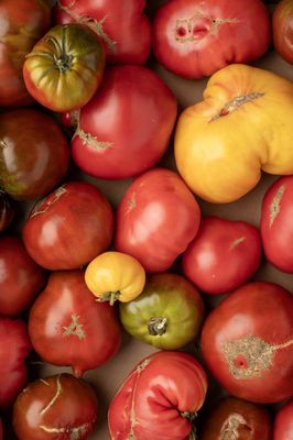 Forts Ferry Farm by null