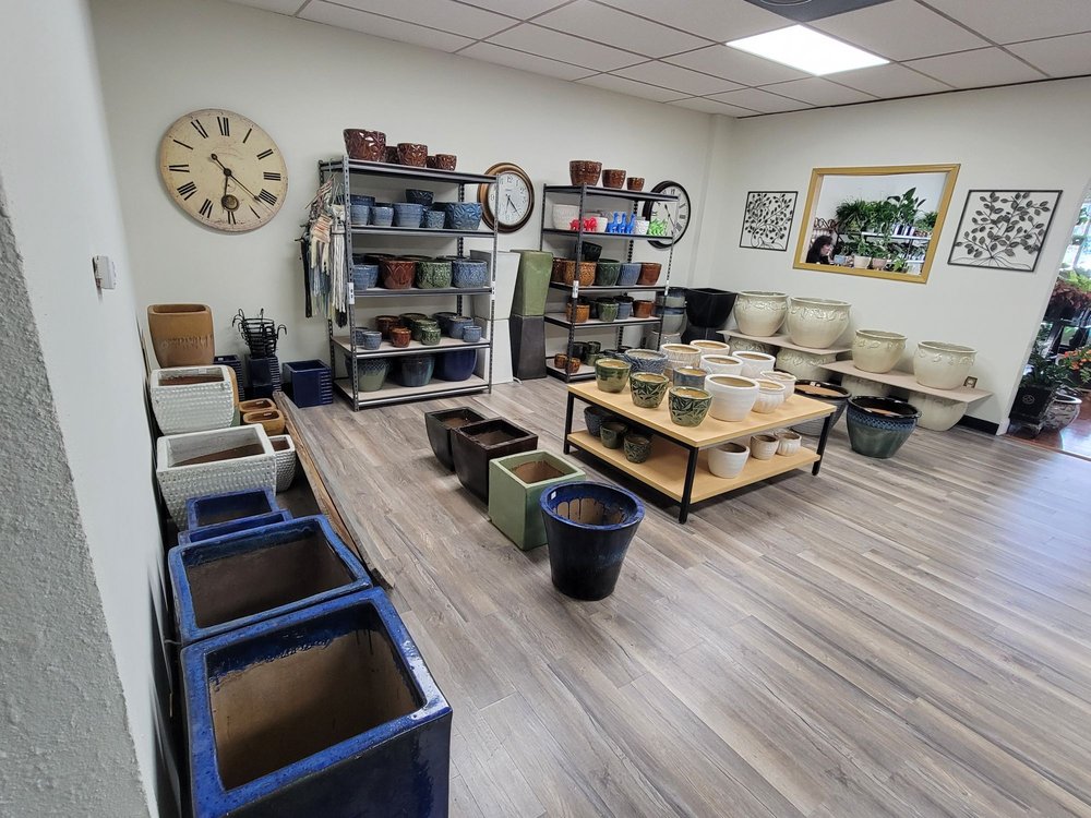 PEARL PLANTS Updated May 2024 17 Photos 2419 E 56th St