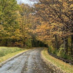 Green Lakes State Park - Fall colors in green lake
