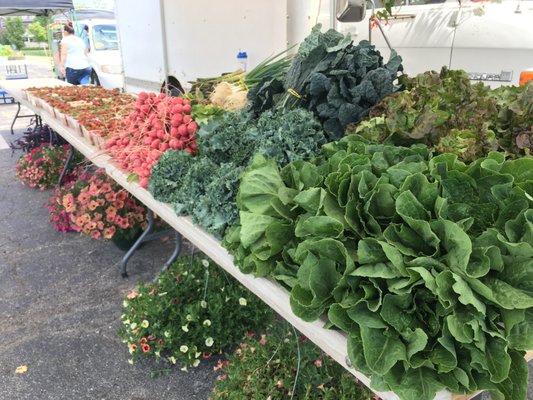 Pittsfield Township Farmers Market by null