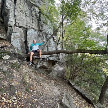 Sunset Rock Climbing - We found a cool tree and had to take a picture! - Hiking Near Me - Chattanooga, Tennessee Sunset Rock Climbing - We found a cool tree and had to take a picture! - Hiking Near Me - Chattanooga, Tennessee