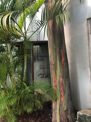 Miami Ironside by null