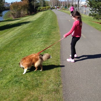 Cedar River Trail Park - Dog walkin - Parks Near Me - Renton, Washington Cedar River Trail Park - Dog walkin - Parks Near Me - Renton, Washington
