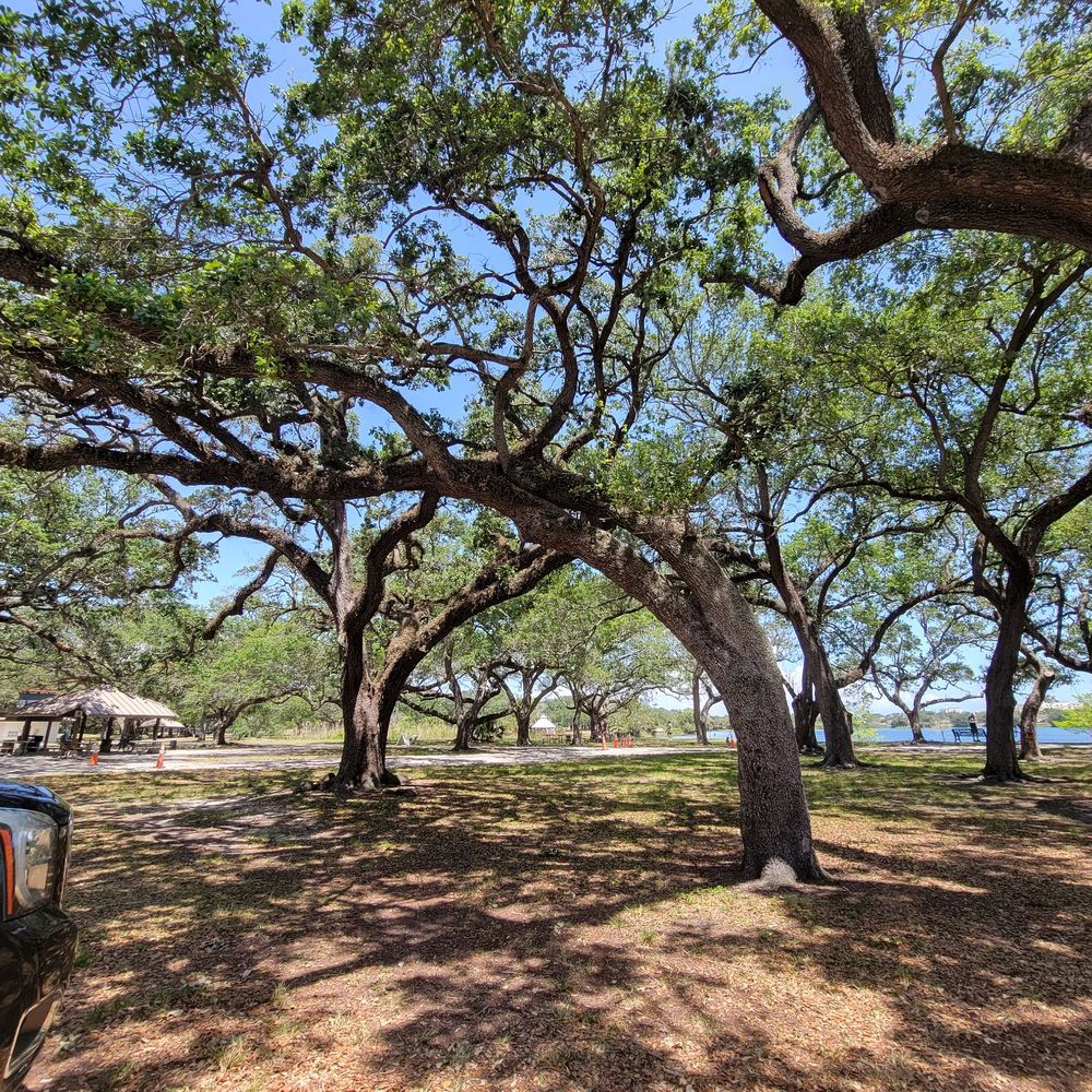 T.Y. Park - Parks Near Me - Hollywood, Florida T.Y. Park - Parks Near Me - Hollywood, Florida