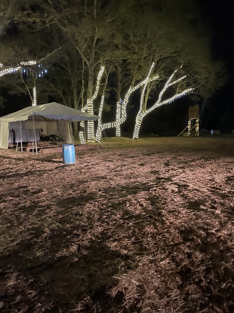 BAMA SLAM SALOON Updated September 2024 33 Photos 567 County Road