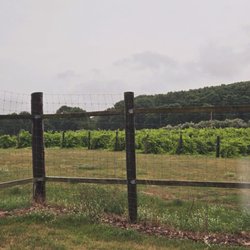 Pere Marquette Winery - Vineyard